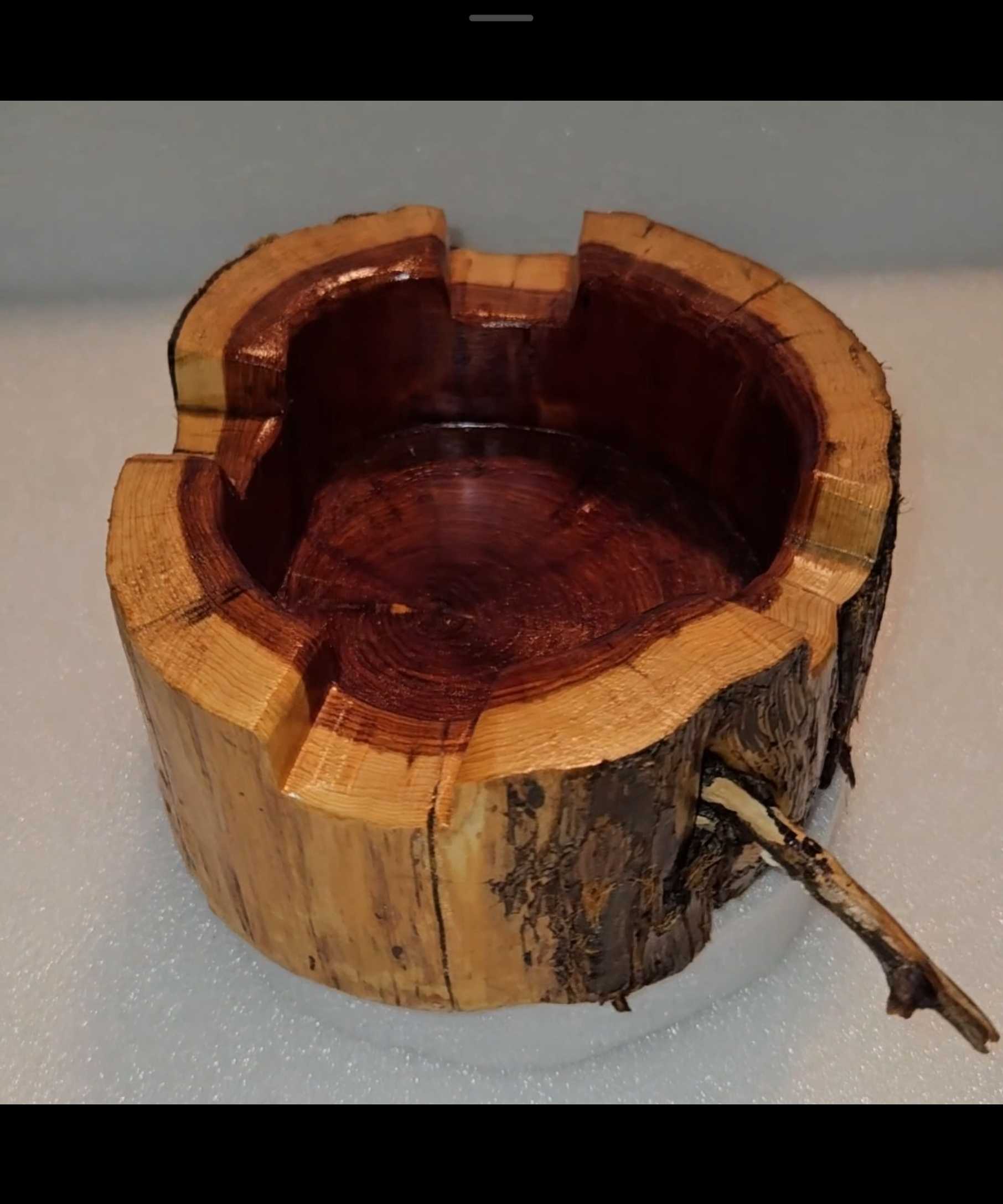 Red Cedar Cigar Ashtray With Limb