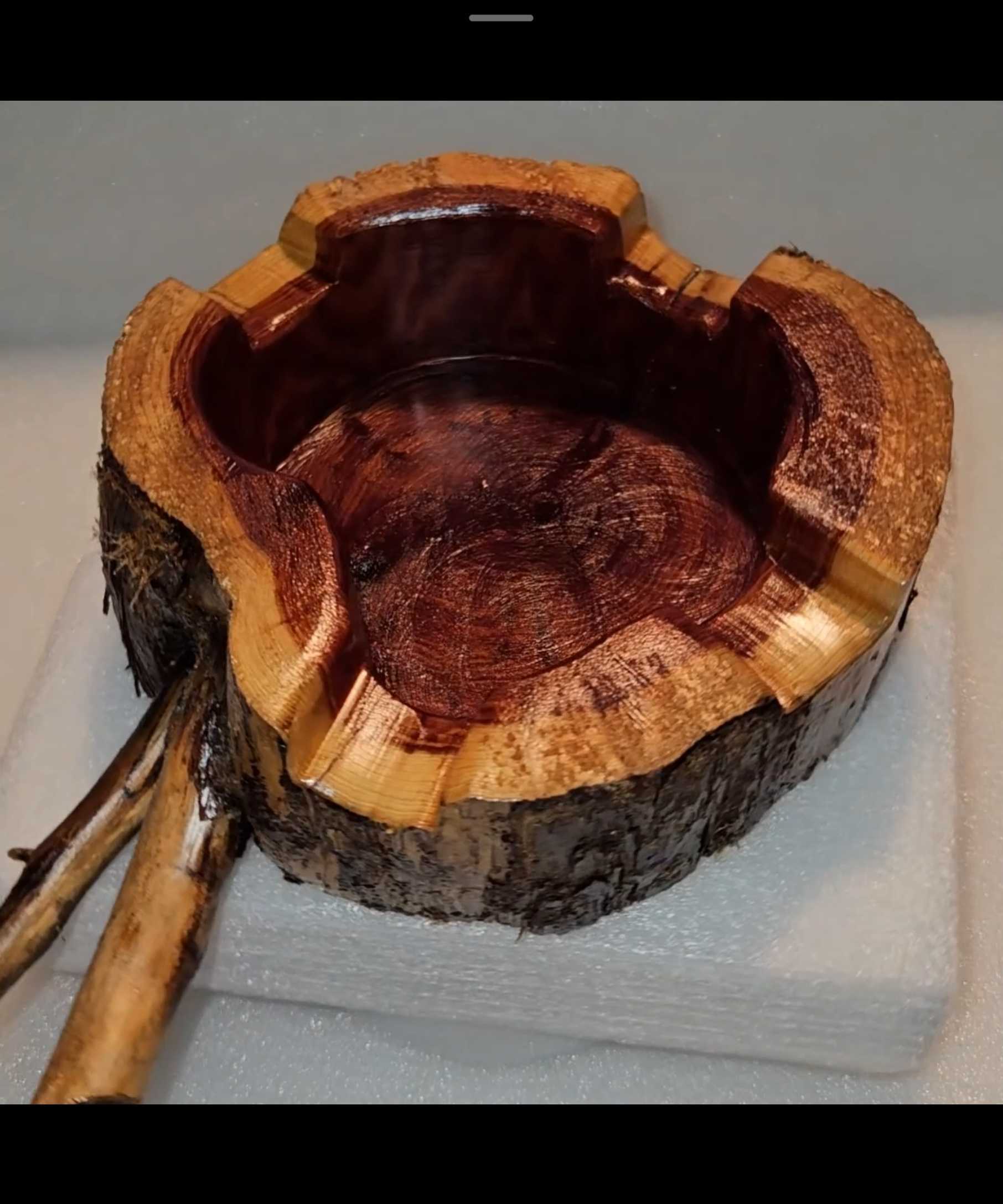 Red Cedar Cigar Ashtray With 2 Limbs